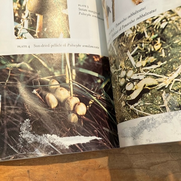 Growing Wild Mushrooms Book by Bob Harris - water damaged - Picture 13 of 16